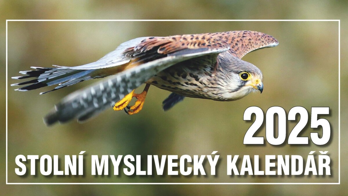 Nakladnili jsme kalendáře pro rok 2025