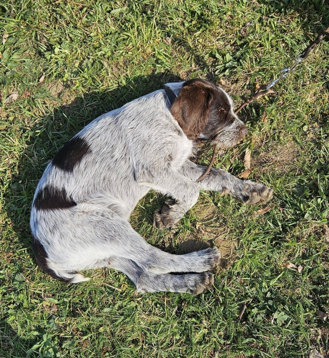 Jarní svod 18.04.2026